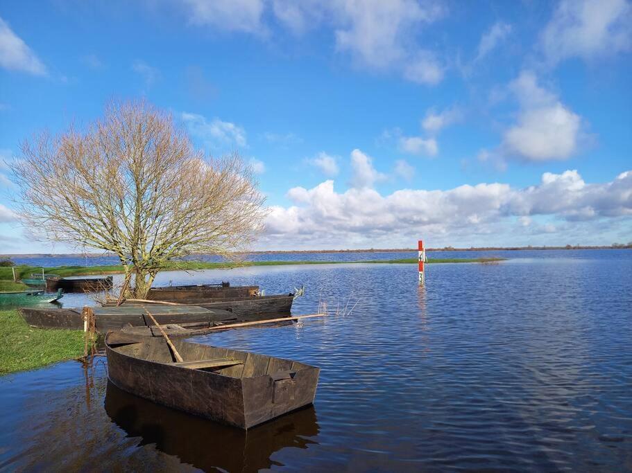 Lac Grand Lieu : Maisonnette Au Calme Avec Jardin Saint-Lumine-de-Coutais Kültér fotó