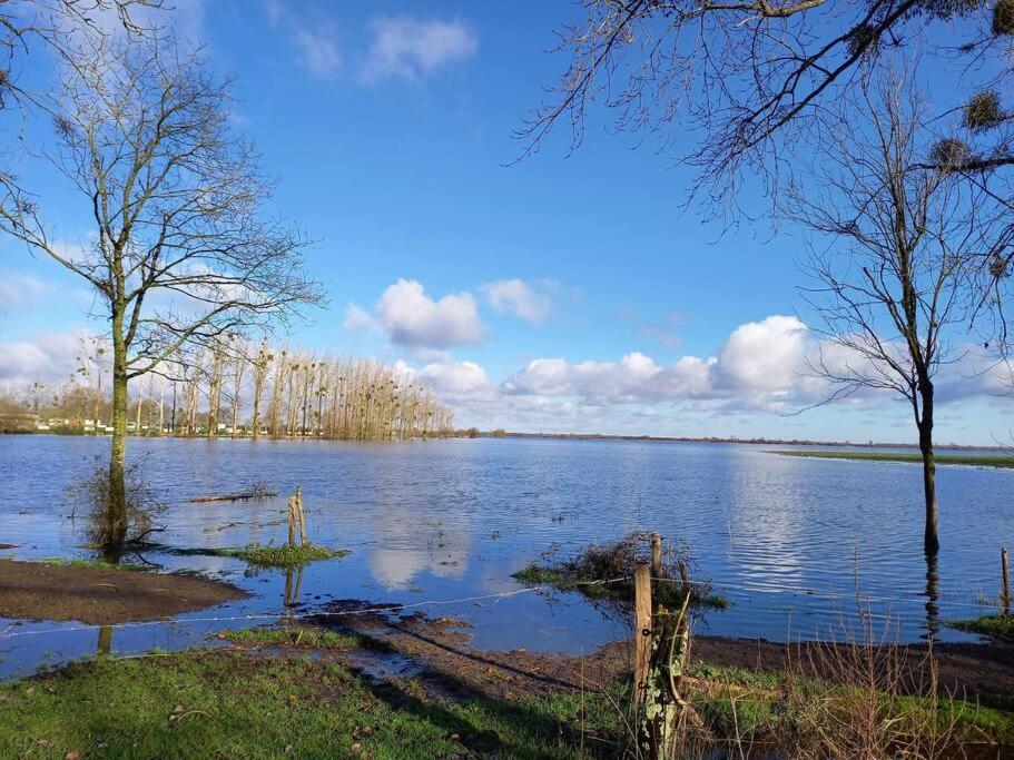 Lac Grand Lieu : Maisonnette Au Calme Avec Jardin Saint-Lumine-de-Coutais Kültér fotó