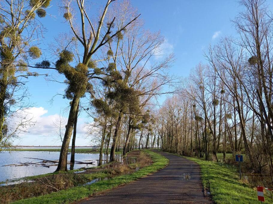 Lac Grand Lieu : Maisonnette Au Calme Avec Jardin Saint-Lumine-de-Coutais Kültér fotó